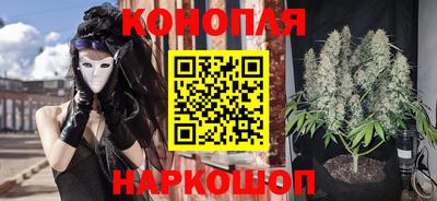Альфа ПВП Аргун