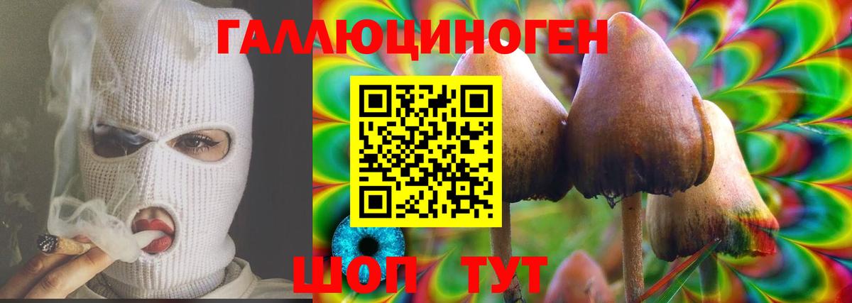 Белебей  Галлюциногенные грибы Cubensis  Вход с VPN 